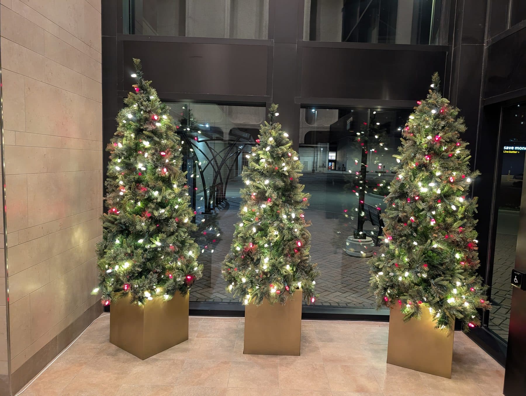Row of lit potted Christmas trees in a commercial building lobby