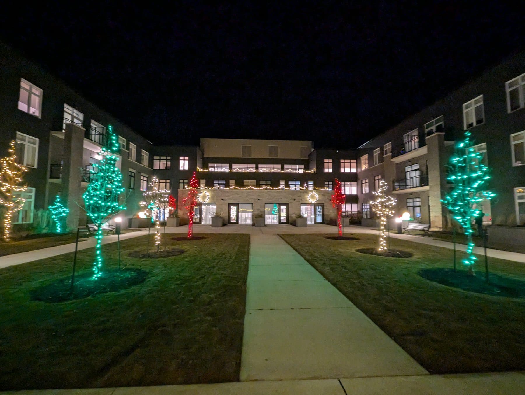 Courtyard walkway lined with light-wrapped trees at night