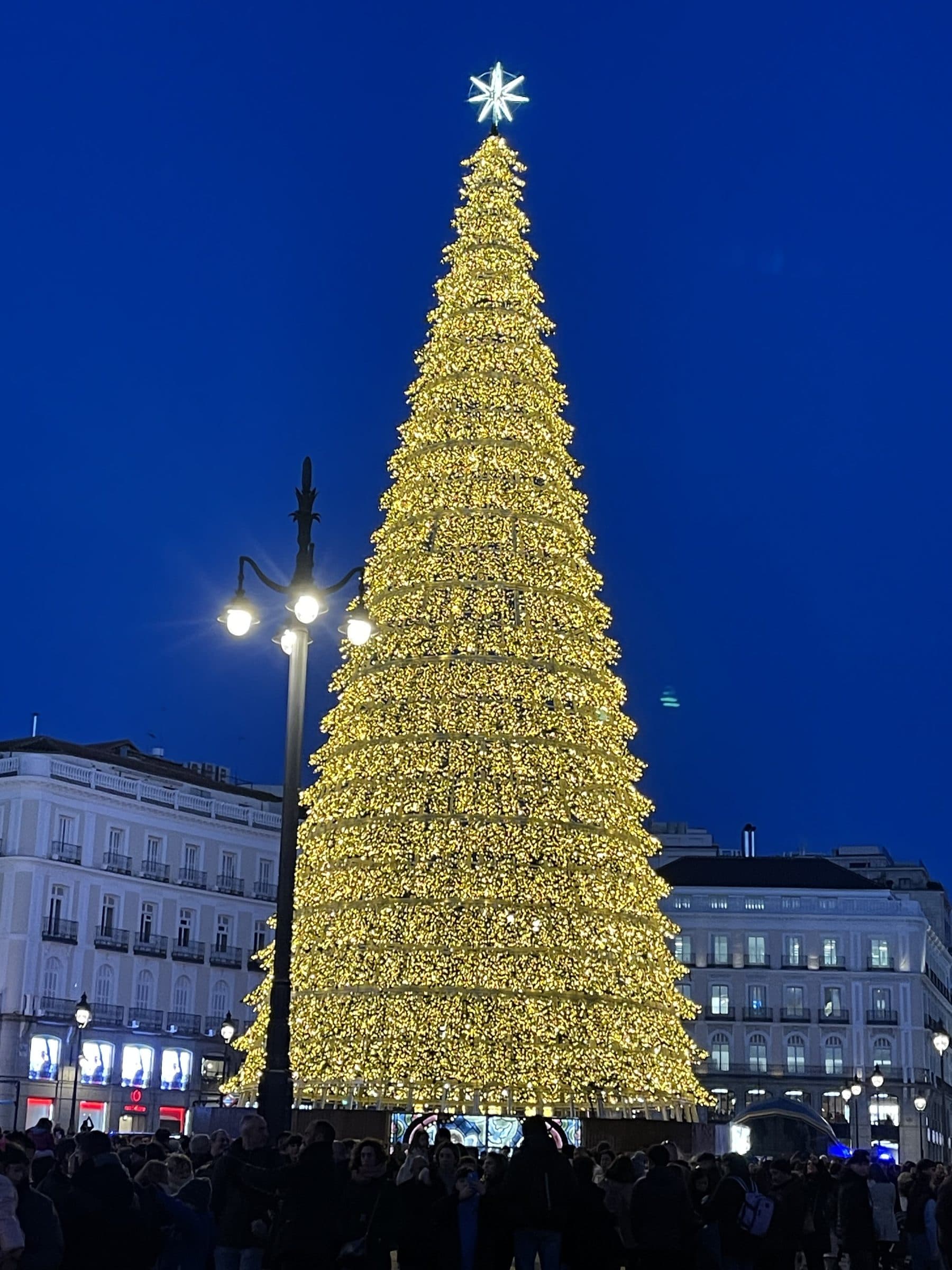 Towering golden cone Christmas tree glowing in a downtown plaza at night