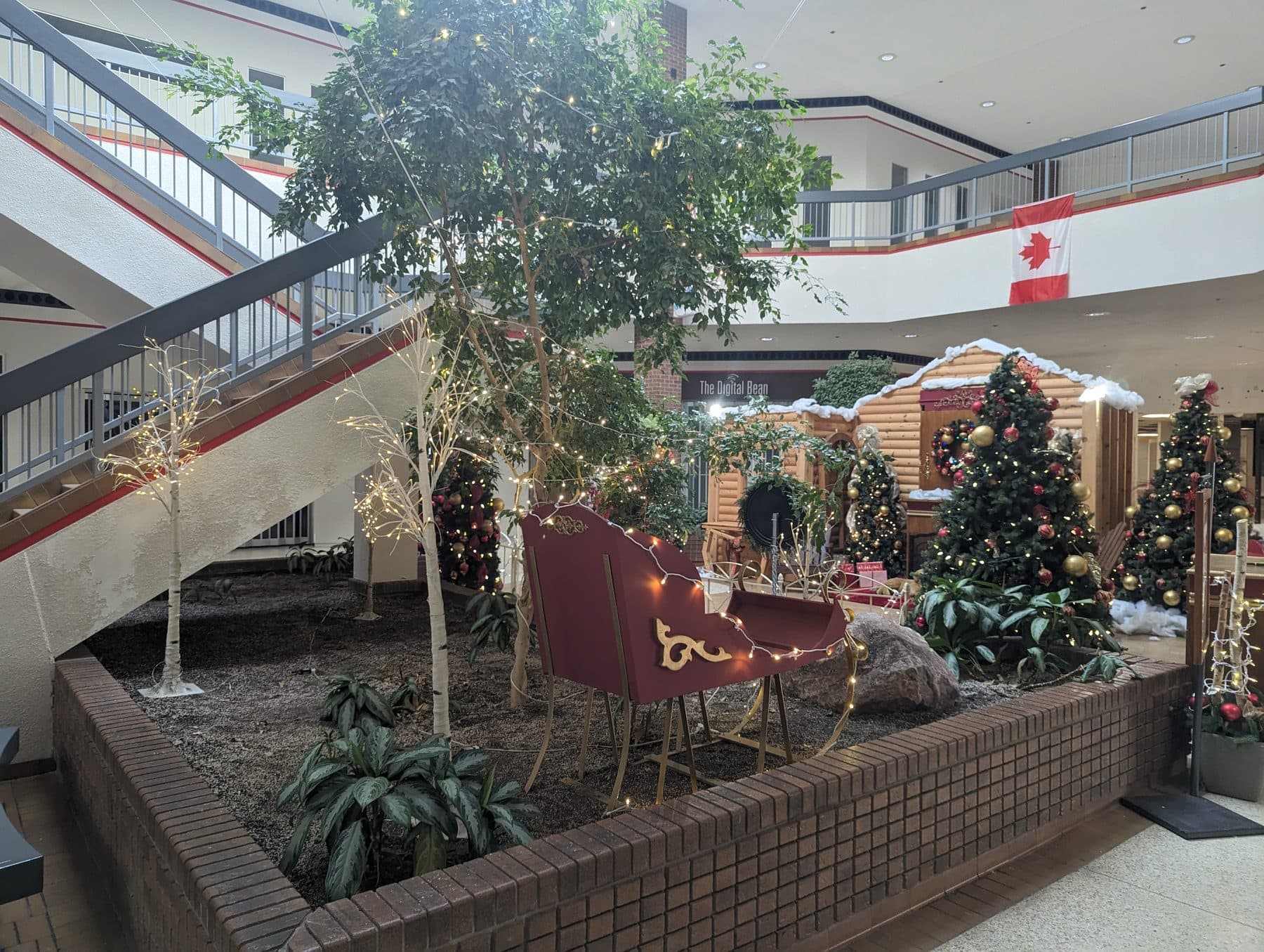 Mall atrium holiday display with a sleigh and fairy-light birch trees