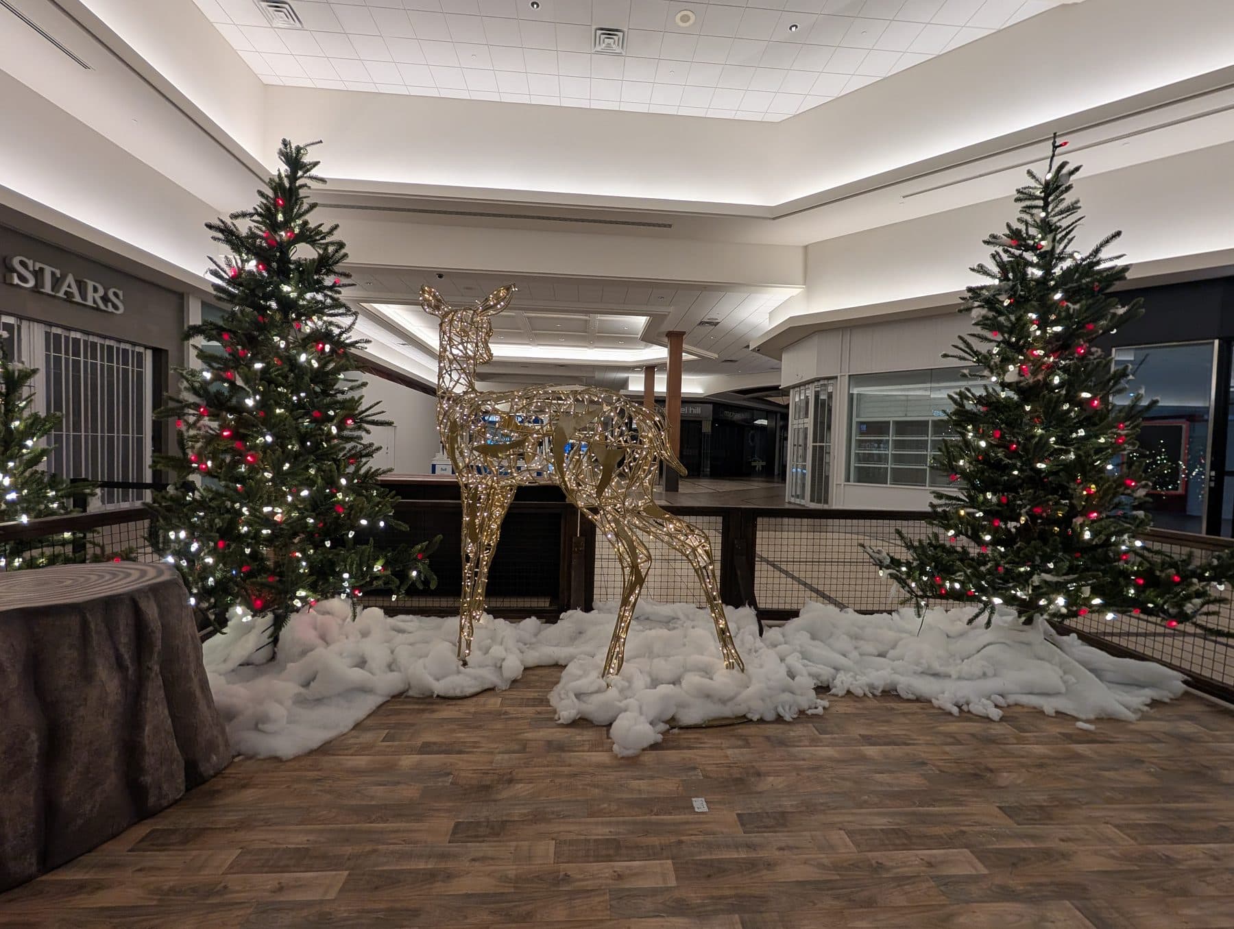Lit reindeer sculpture between decorated trees in a mall concourse holiday display