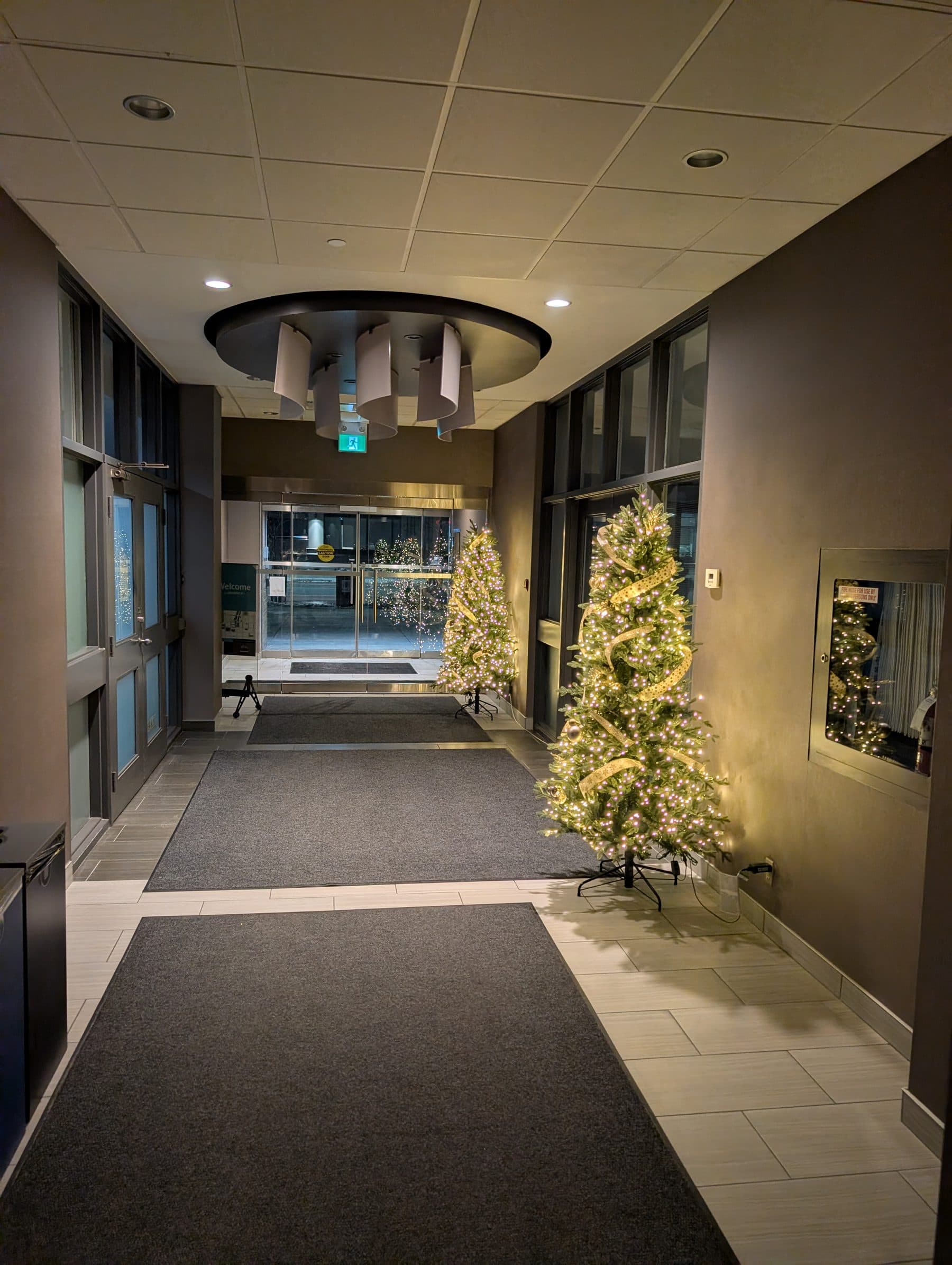 Two lit Christmas trees flanking a commercial building entrance vestibule